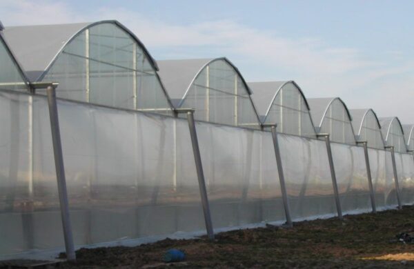 Anti-Fog & Anti-Drip Greenhouse Film - Image 2