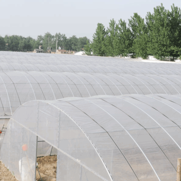 Long-Life Greenhouse Film