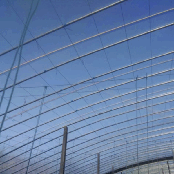 Anti-Fog & Anti-Drip Greenhouse Film