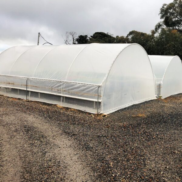 Light-Diffusing Greenhouse Film - Image 2
